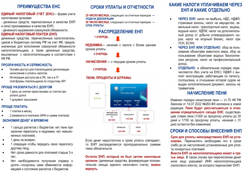 Буклет ЕНС 2023_page-0002.jpg