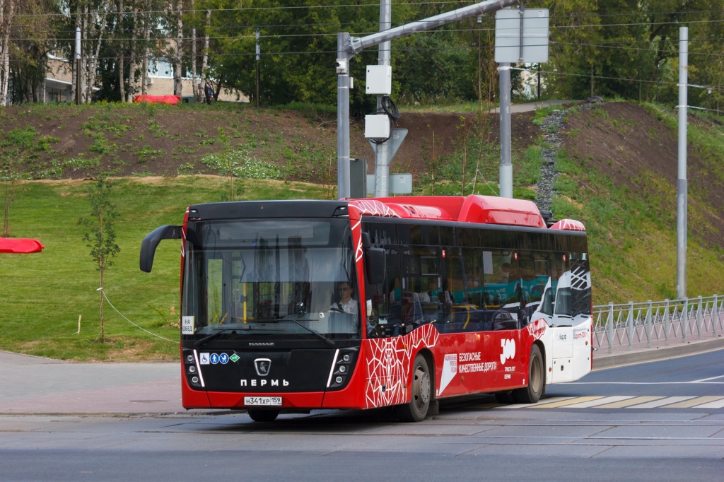 3100863.jpg
